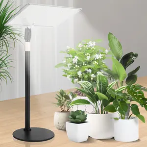 Grow Lights For Indoor Plants, Table Top Grow Light Full Spectrum, LED Bonsai Houseplant Growing Lamp With On/Off Switch, 11.81-23.62 Inch Height Timer3/9/12H White And Warm White
