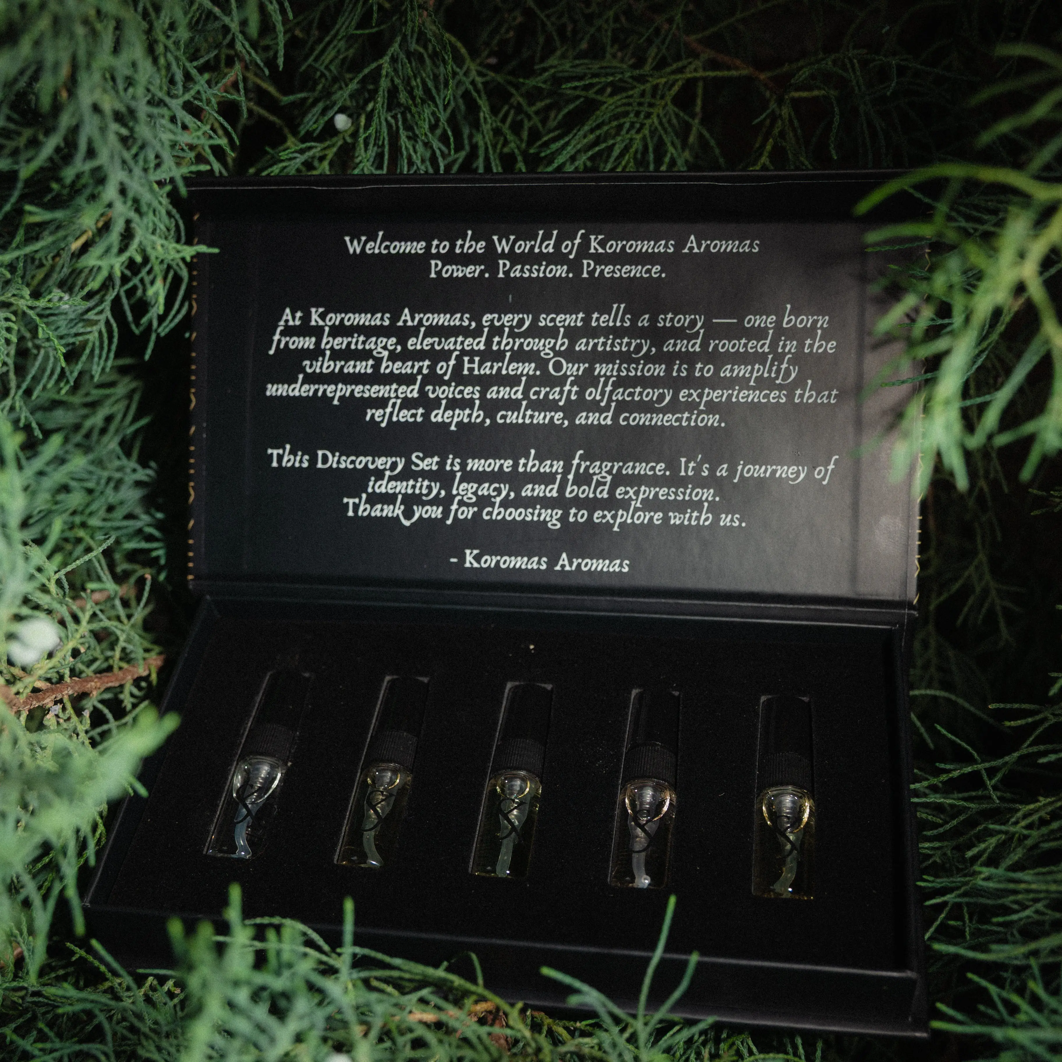 Koroma Discovery Set