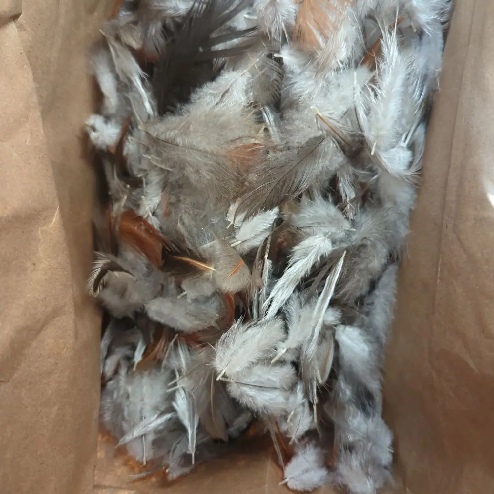 Natural Chicken Feathers