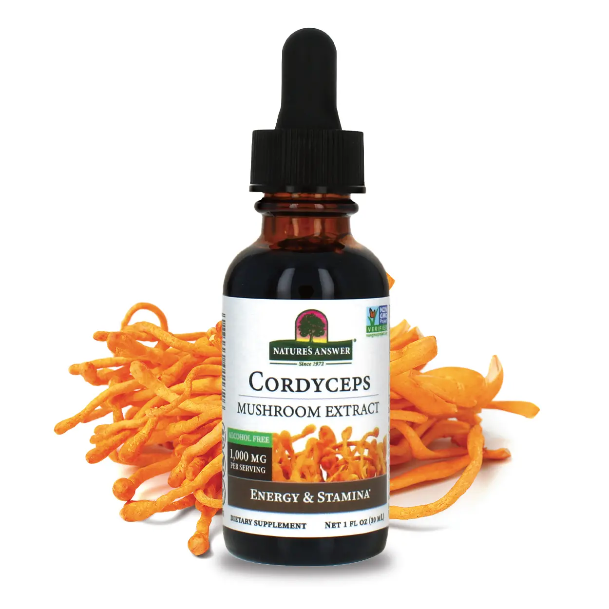 Nature's Answer Cordyceps 1 Ounce Extract - Supports Energy & Stamina - 1,000 mg per serving - Made in the USA