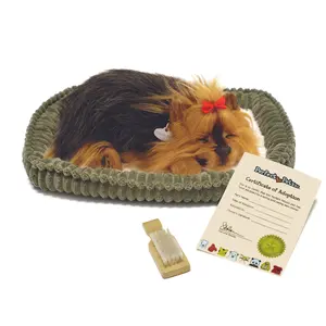 Original Yorkie Perfect Petzzz