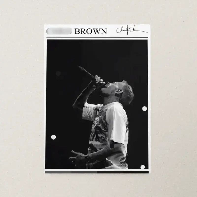 Chr1s Brown Album Cover Poster: Music Room Wall Decor