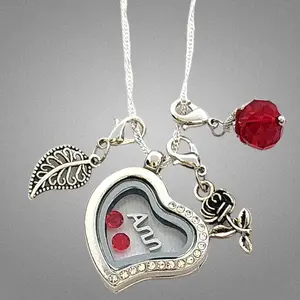 Name Crystal Heart Floating Locket Necklace Sterling Silver Chain Rose Leaf Dangles Women's Fashion Jewelry