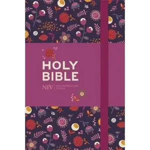 USED-The Holy Bible: New International Version. by International Bible Society (Hardcover)