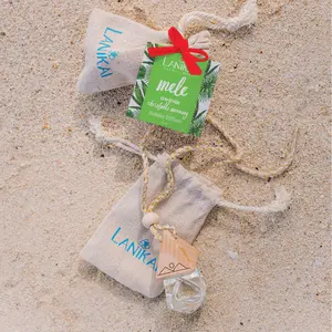 Evergreen Christmas Tree Diffuser Ornament