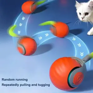 Smart Electronic Interactive Toy