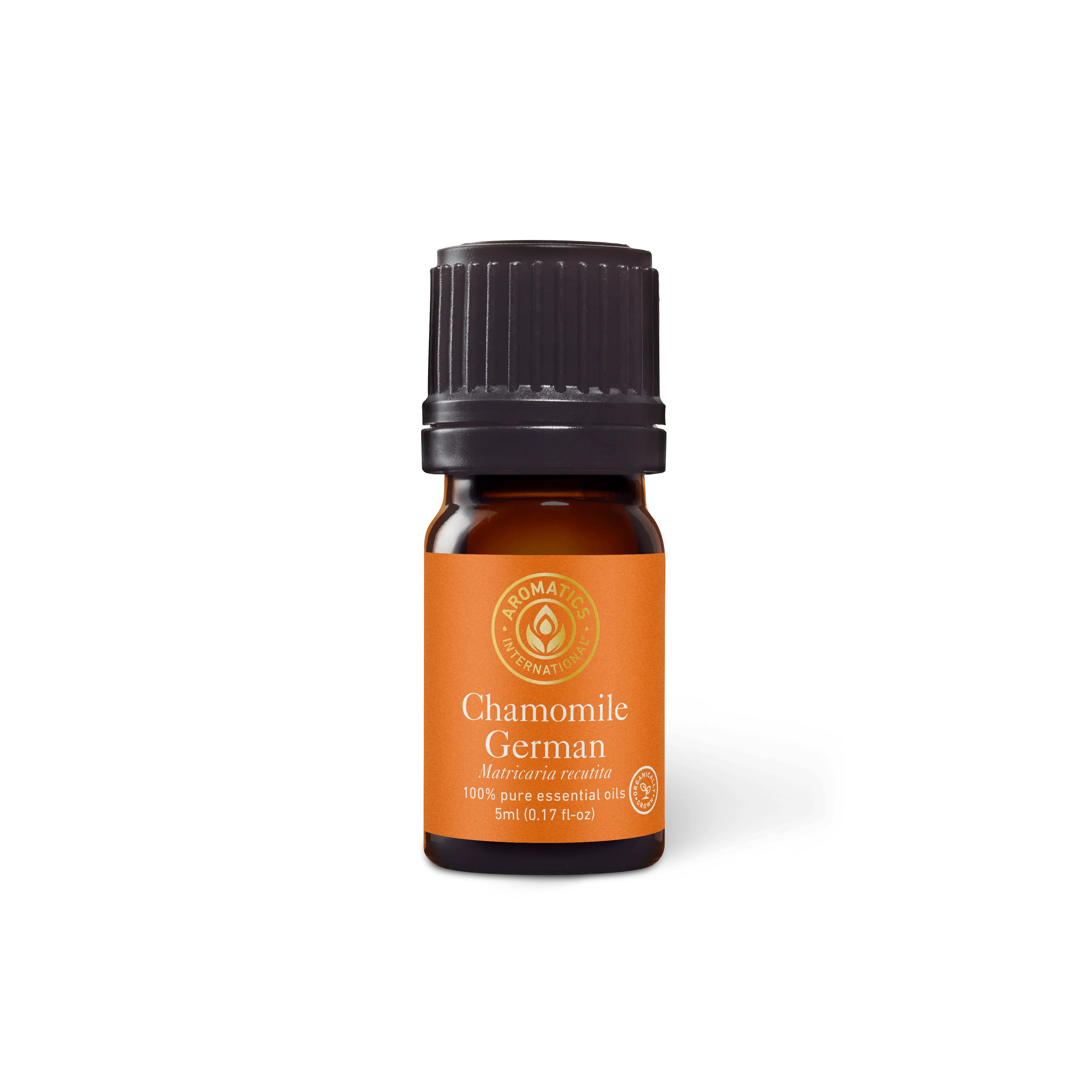 Chamomile German Essential Oil (Nepal) for Therapeutic Aromatherapy Wellness
