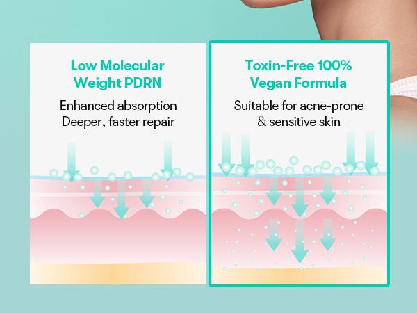 [VT Official] VT PDRN Essence, Capsule Cream,Stick Balm, Glow Mist Ampoule | Vegan PDRN Glow Skincare Bundle | 100,000 PPM Vegan PDRN, Skin Barrier & Sensitive Skin Friendly, Winter Essential, No Irritant Vegan Phyto PDRN Panax, Korean Pharmacy Skincare