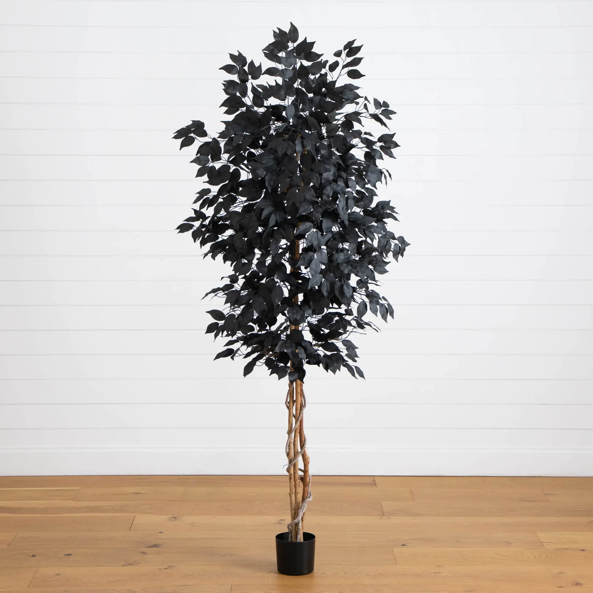 7-ft Artificial Halloween Black Ficus Tree with Natural Trunk, Decorative Home Decor Plants for Botanical Aesthetic Room Styling, Nursery
