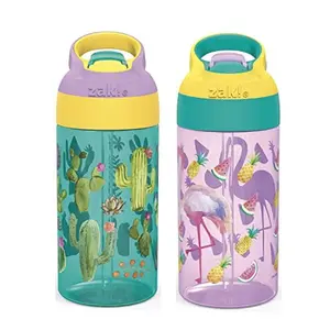 Zak Designs 16oz Riverside Desert Life Kids Water Bottle with Straw and Built in Carrying Loop Made of Durable Plastic, Leak-Proof Design for Travel