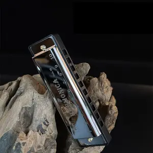 Portable	Durable 10 Hole Chromatic Harmonica, 1 Count C Key Harmonica with Case, Musical Instrument for Beginner, Gift for Friends