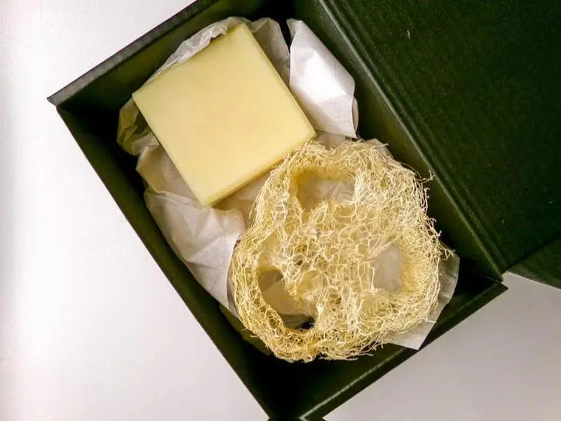 Antibacterial Dish & Homegrown Loofah Set
