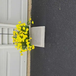 review image 7