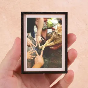 Fun Fridge Magnet, Cute Cat Refrigerator Magnet, Ivy Fridge Magnet, Decorative Home Decor & Festive Decoration, Great Holiday Gift, 1 Piece