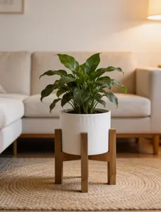 Textured Ceramic Planter with Wood Stand