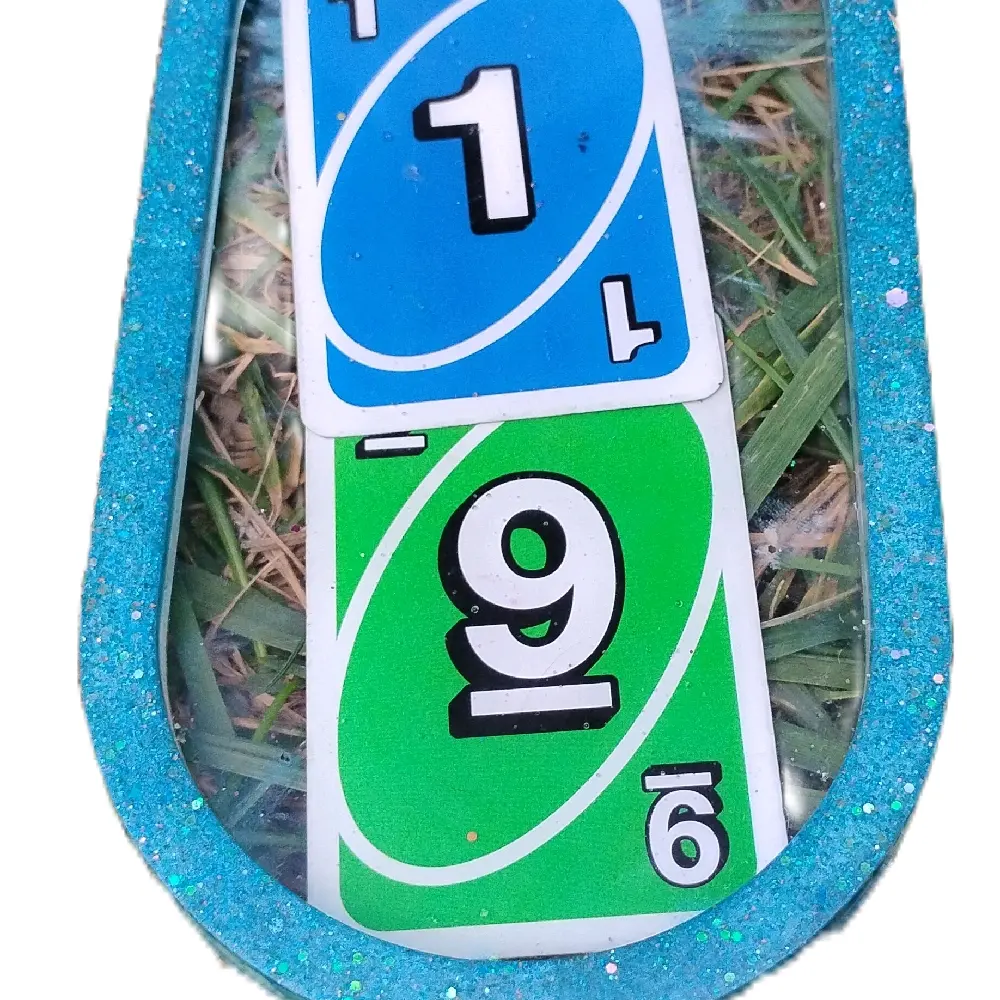 Blue Resin Party Uno Tray from the United States - Product Name Only