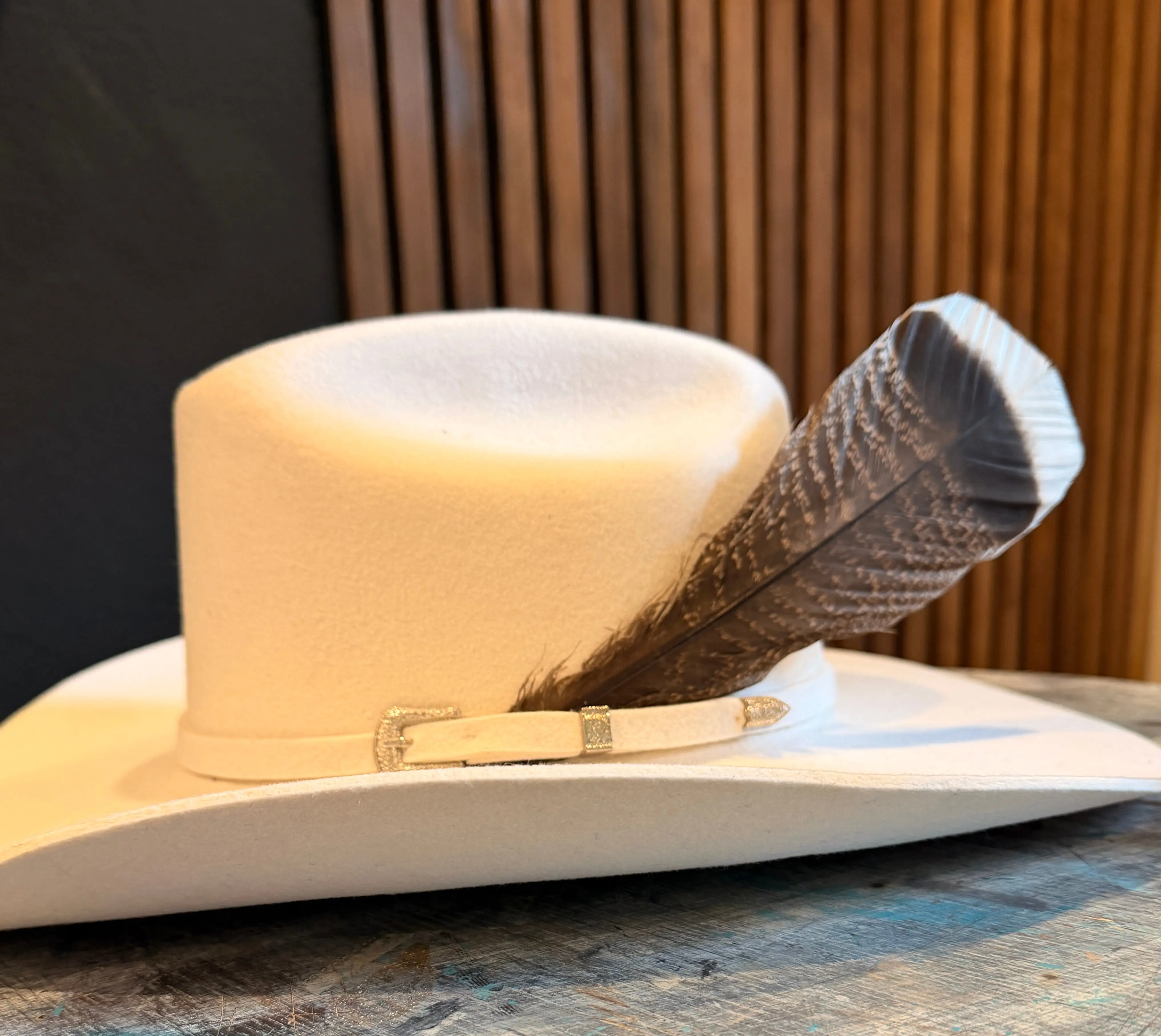 Turkey Tail Feather - Natural Brown with White Tip Feather - Two Feathers Customizing Your Hat Rustic Charm Create Complimentary Enhance