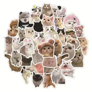 Cute Funny Meme Stickers  Perfect Freebie for Shop Order Customers