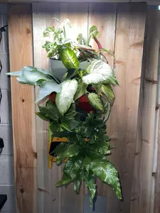 Vertical Garden Wall Planter, Stackable Design, Green Red White Yellow, 2 planters pack, size 10 X 6 X 6