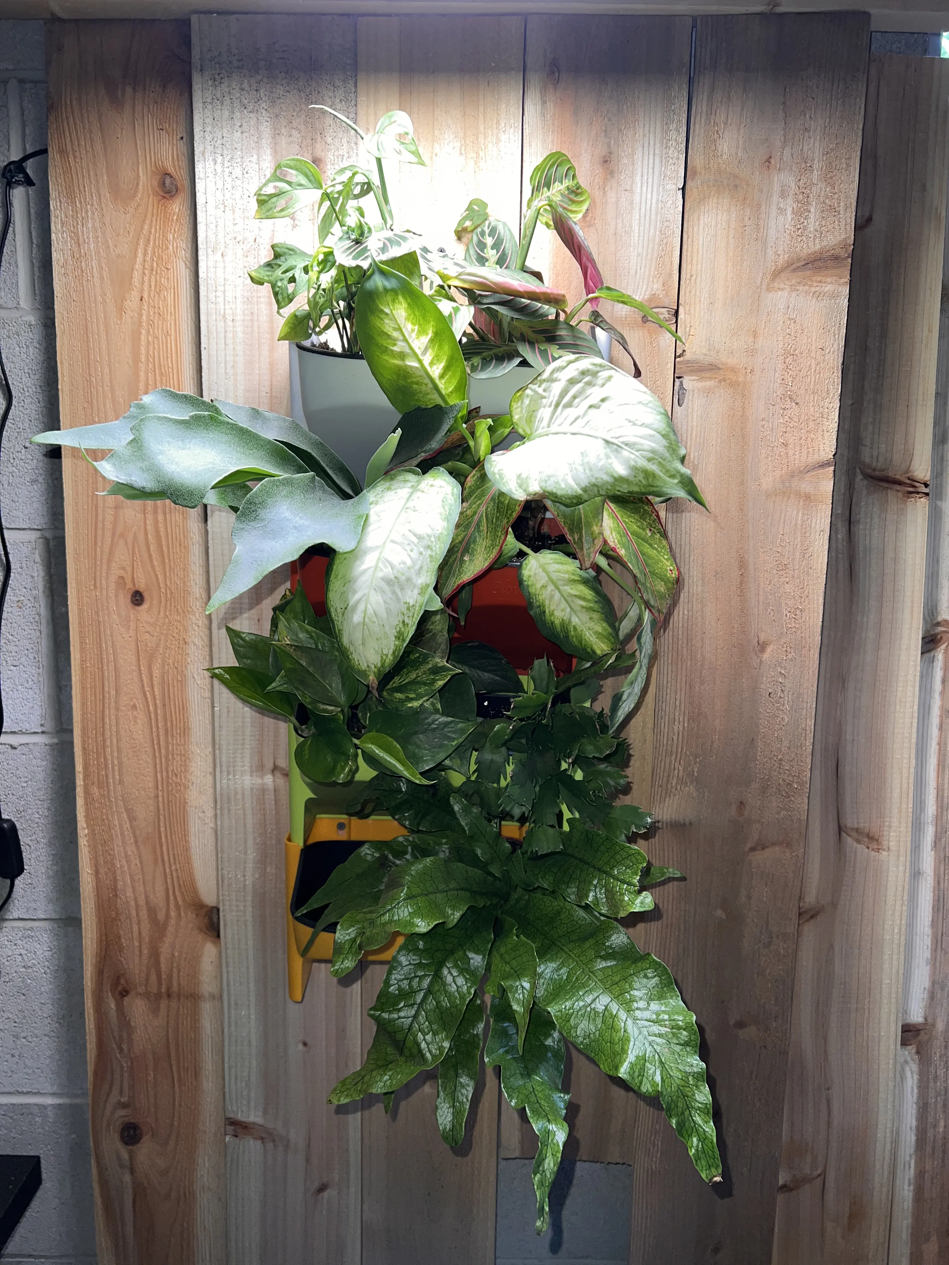Vertical Garden Wall Planter, Stackable Design, Green Red White Yellow, 2 planters pack, size 10 X 6 X 6