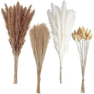 100 COUNT Boho Pampas Grass,Naturally Dried Pompas, Pampas Grass Decor for Wedding,Boho Party Decorations,Table Decor brown and white