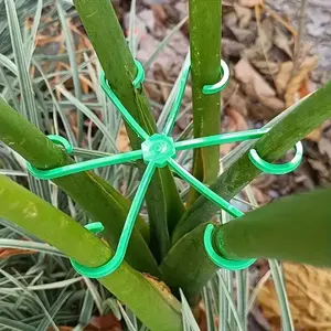 12 Plant Support Stakes with Modern Leaf Design, Ideal for Climbing Plants, Indoor Vertical Gardens, Balconies & Small Spaces, Indoor Plant Trellis