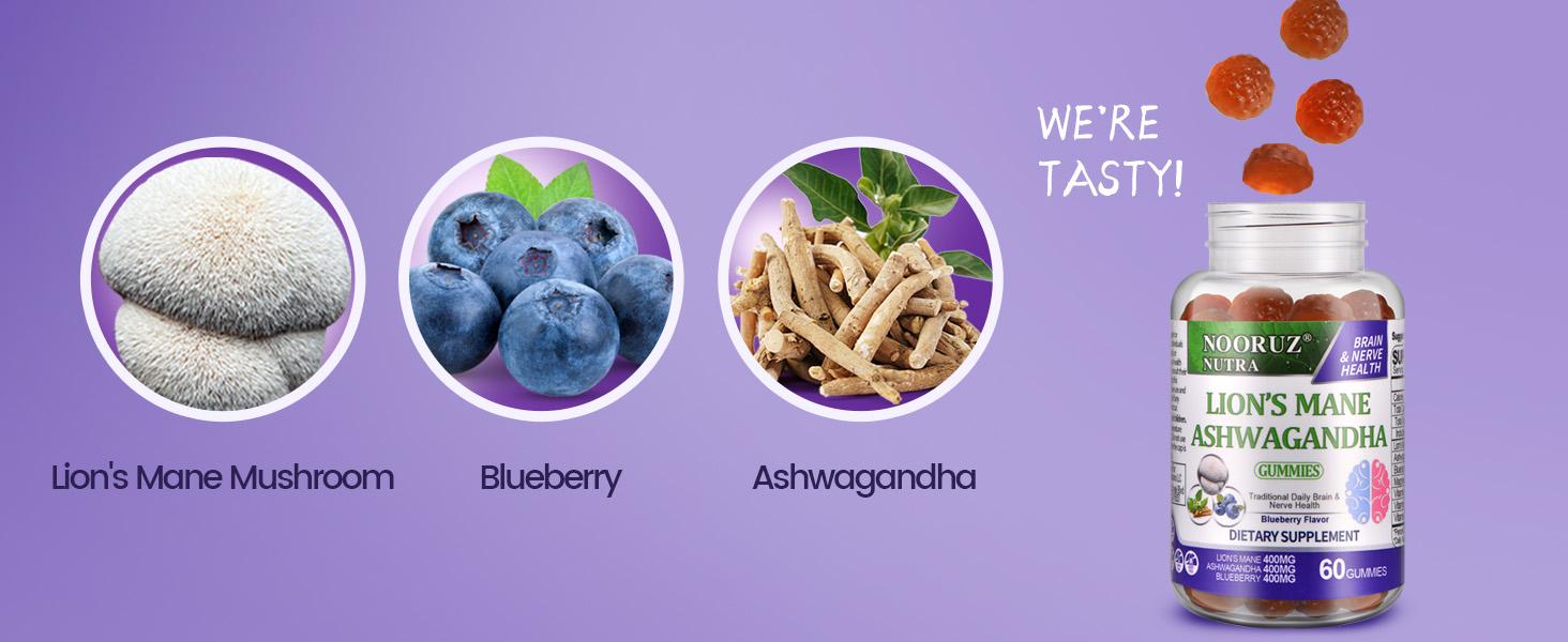 TikTokShopBlackFriday NOORUZ Brain Booster Gummies - 4-in-1 Anti-Aging Formula with Lion's Mane, Ashwagandha & Magnesium - Blueberry Flavor - 60 Gummies - Gluten-Free, Vegan, Non-GMO - 3-Pack Bundle Adaptogenic Mushrooms Supplement