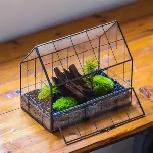 NCYP House Shape Closed Glass Terrarium, Front Opening Door Geometric Planter, Greenhouse(No Plants)