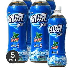 5 Pack Master Kong Iced Mint Tea 16.9 fl oz - Chinese Cold Brew Tea Drink, Refreshing Summer Beverage