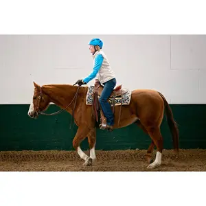 Equicize by Sally Batton and Christina Keim