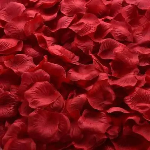 300PCS Wine Red Rose Petals for Valentine Day Wedding Decoration Romantic Artificial Rose Flower