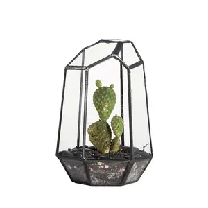 NCYP Small Open Geometric Terrarium 4.1" x 3.5" x 5.9" Miniature Irregular Glass Terrarium Planter for Succulents, Cacti, Air Plants, Home Indoor Tabletop Decoration