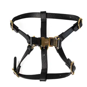 Pre-owned GUCCI Leather Small Leather Goods G25060517 Medium Black Harness