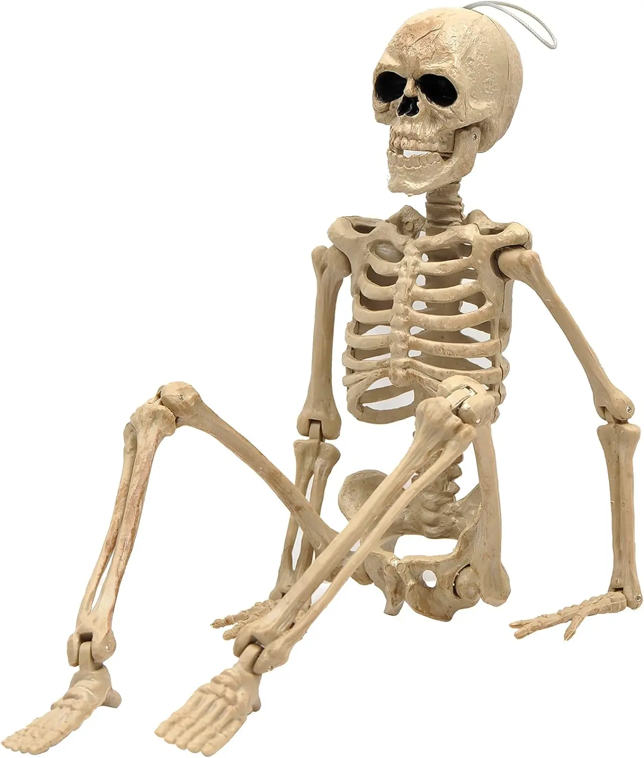 Halloween Skeleton,Full Body Skeleton with Posable Movable Joints for Haunted House Props Decorations Brand: e Crafty Plastic Door Set Spooky