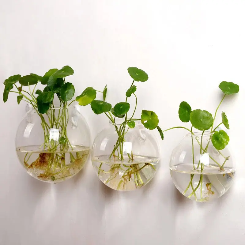 Modern Hanging Glass Vase for Home Garden Decor