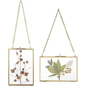 Set of 2 Brass Wall Hanging Photo Frame Golden Glass Hanging Picture Artwork Display Frame Double Glass Floating Frame Style Gallery Wall Frame for Photo Picture Poster etc