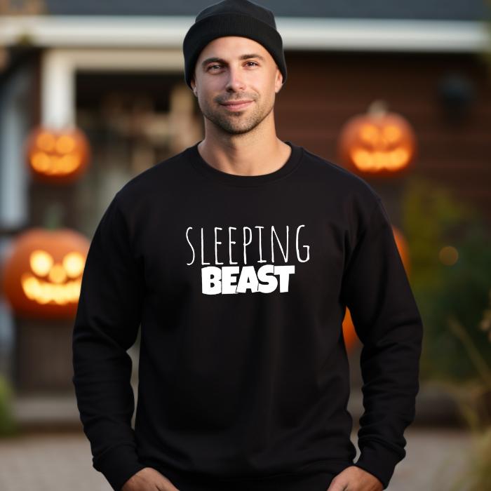 Couple Shirt Sleeping Beauty Beast Gift Set, Fun, Comfy Matching Outfits , Couple Sweatshirts, Matching Couple Hoodies