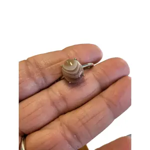 Adjustable Botswana Agate Ring - Unique Natural Pattern free spirited