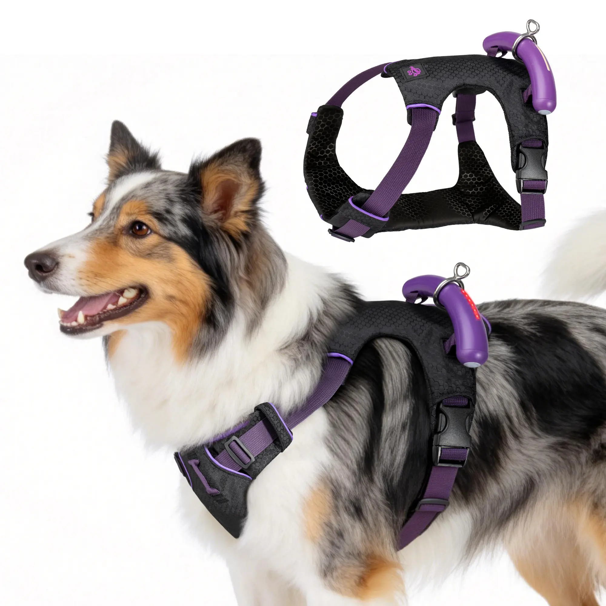 ExcegBot No Pull Dog Harness for Medium Dogs, Black Size M LED Glow Harness with 3 Modes (Steady/Colorglow/Flash), Reflective Vest with Emergency Grab Pocket & Handle, Front Traction Point, Soft Padding for Neck Relief, Night Visibility & Daily Walks, Har