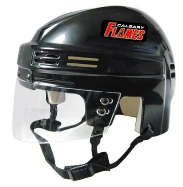 Calgary Flames - NHL Collectible Mini Helmet - Picture Inside - FANZ Collectibles