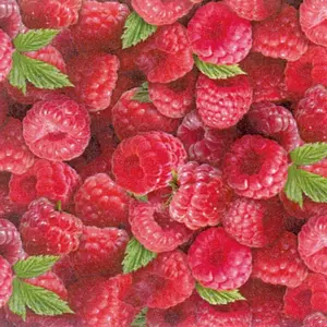 Raspberry Fabric, Fruit Quilt Fabric, Kitchen Decor, Apron Fabric, Food Fabric, 100% Cotton