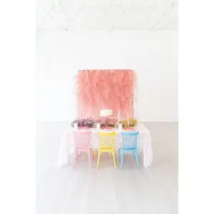 Tulle Fringe Backdrop in Rose
