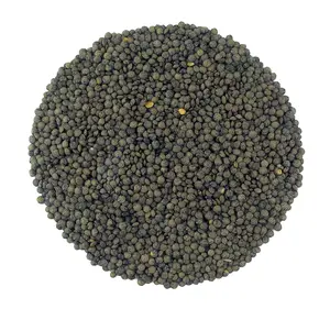 Organic French Green Lentils Whole Raw, High Fiber Non-GMO-Bulk