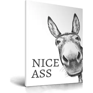Funny Bathroom Wall Art Decor, Black and White Donkey Wall Art, Waterproof Wood Framed Canvas Wall Art Animals Abstract Prints,  High-end Pictures for Dormitory Kids Room 1 Pack