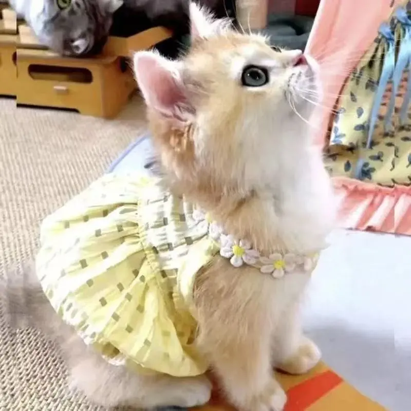 Bubble Check Cute Pet Princess Dress, Soft Daisy Decoration, Summer Cool Breathable, Suitable for Small Dogs and Cats, Lightweight Puppy Clothes, Clothes