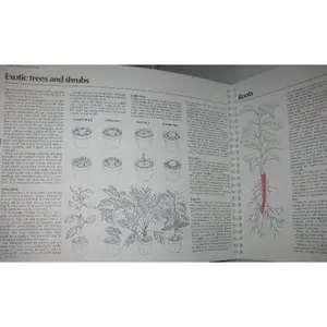 USED-Plant Propagation: Seeds, Roots, Bulbs and Corms, Layering, Stem Cuttings, Leaf Cuttings, Budding an by Philip McMillan Browse (Paperback)