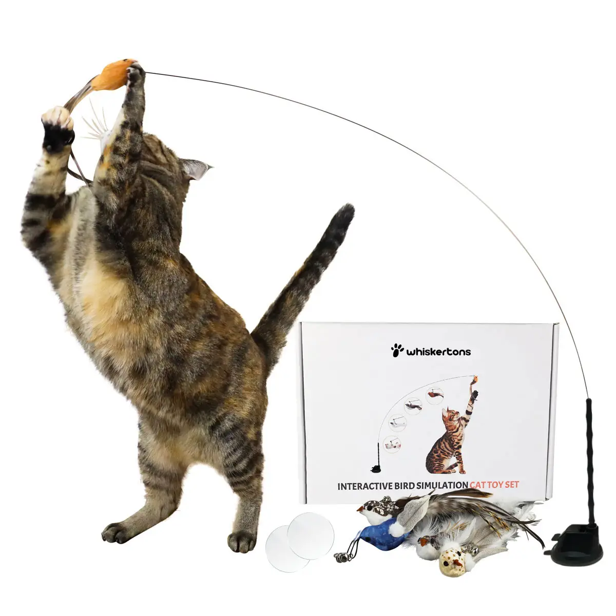 Whiskertons Interactive Bird Simulation Cat Toy Set | Interactive Cat Toy | Real...