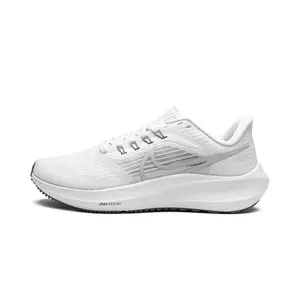 Pegasus 39 "Grey Fog" DH4071 100