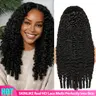 【Hot Sale】Lemoda 200% Density Full 13x6 SKINLIKE Real HD Lace Frontal Burmese Curly Virgin Human Hair Wigs Invisible 0.1mm Ultra-thin Frayed Ends Lace Front Wig Pre Plucked Tiny Knots