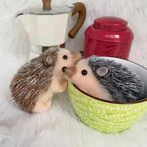 4’’ AVANI DOLL Cute Mini Hedgehog Full Body Silicone Hedgehog Soft Baby Hedgehog
